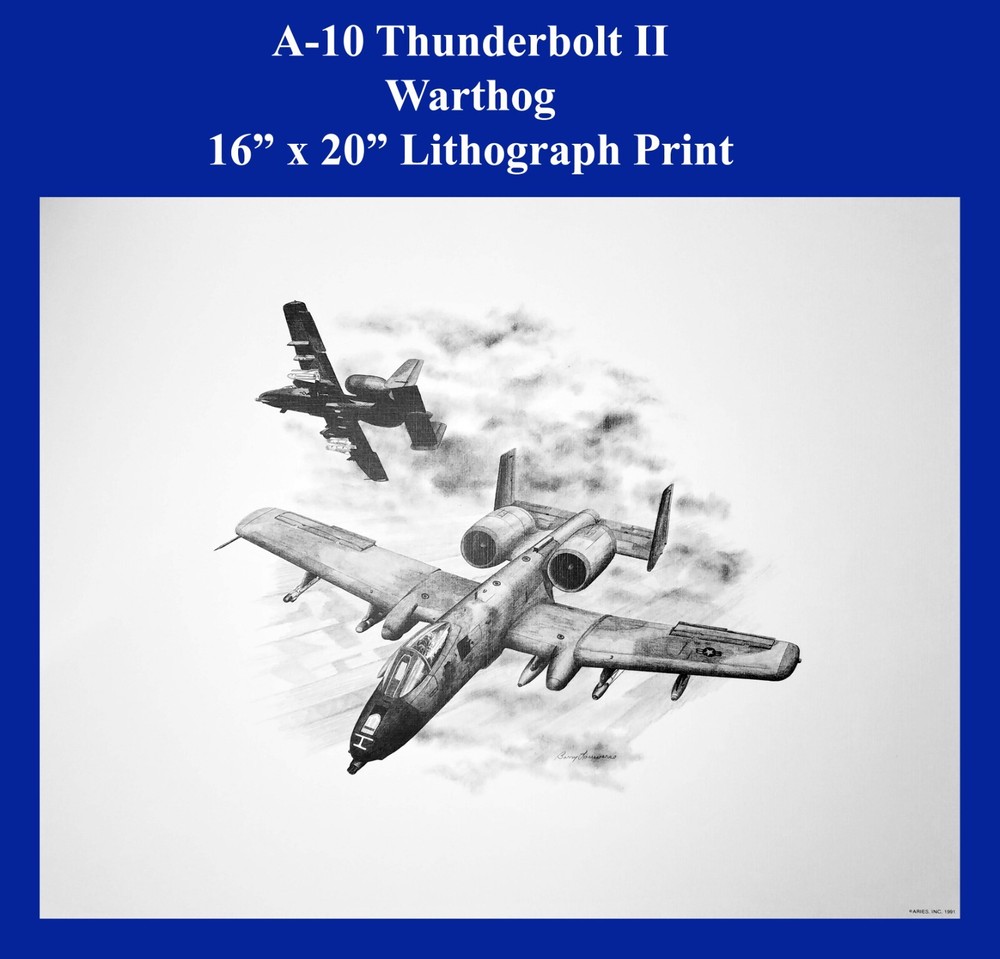 A-10 Thunderbolt II Warthog Lithograph Print 16" x 20"