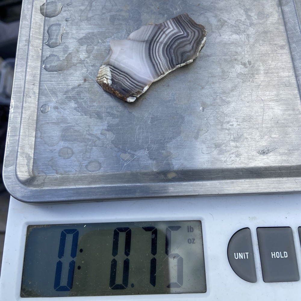 White Fortification Agate Banded Slab