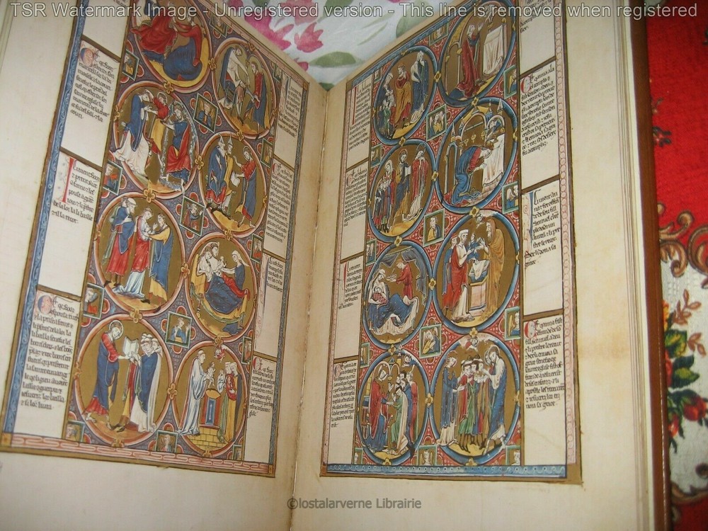 The Moralized Bible - Book Club Fac Simile CODEX 2554 - Illuminations
