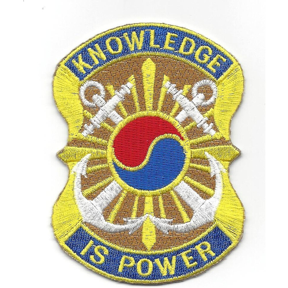 163rd Military Intelligence Battalion Patch