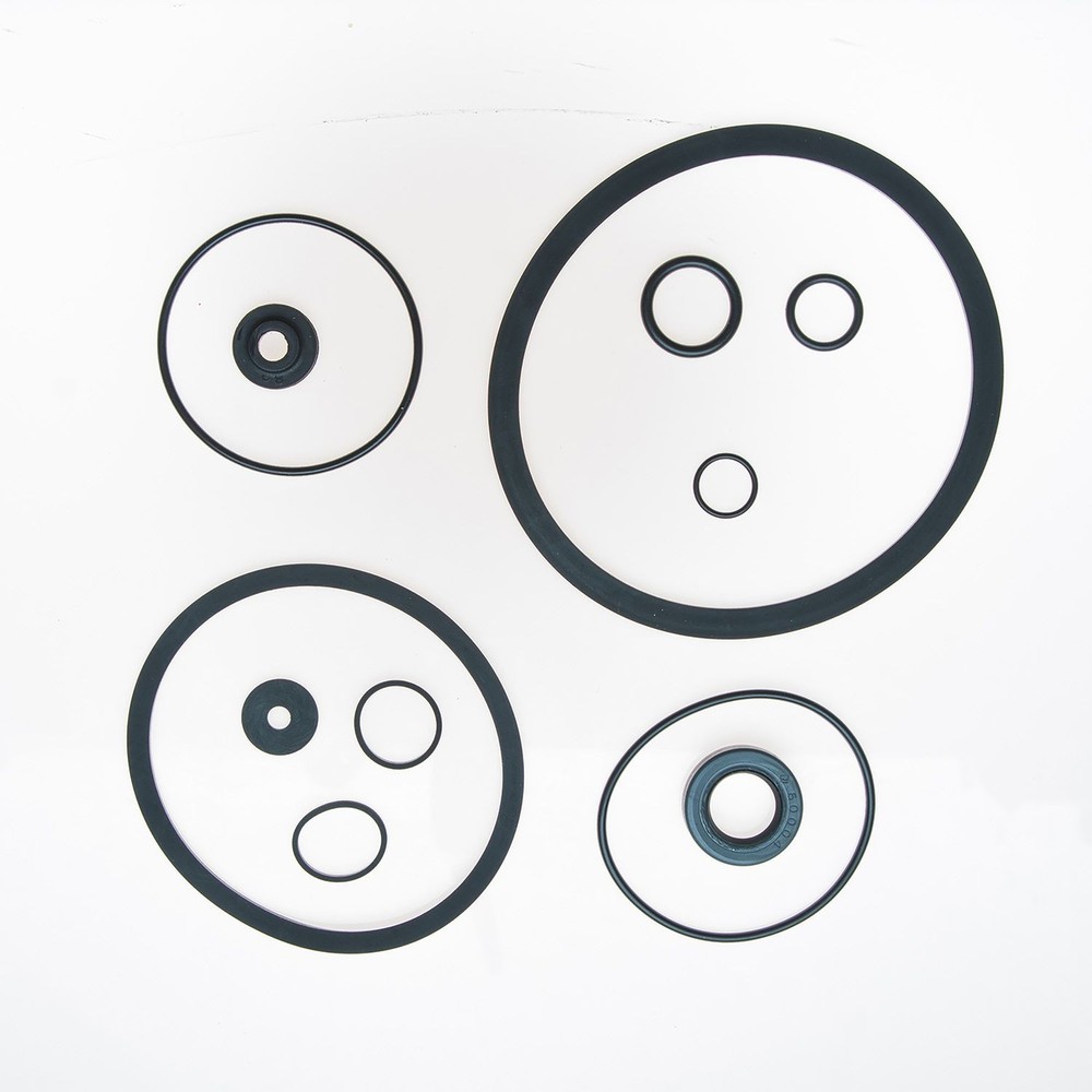 Edelmann 7168 Pump Seal Kit