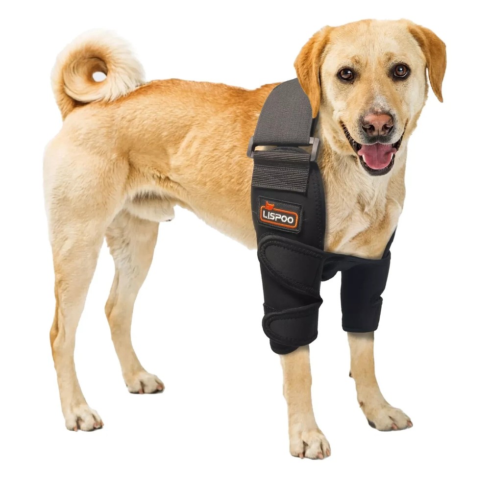LISPOO Dog Shoulder Elbow Brace, Both Front Legs Support Stability Arthritis XL