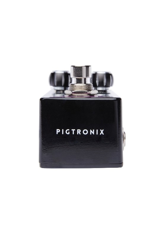 PIGTRONIX CONSTELLATOR ANALOG DELAY