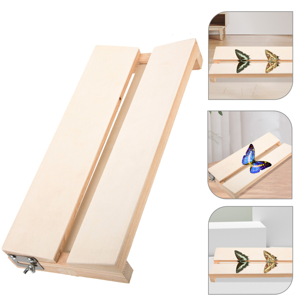 Insect Pinning Board Specimen Display Board Adjustable Labs Board for Education