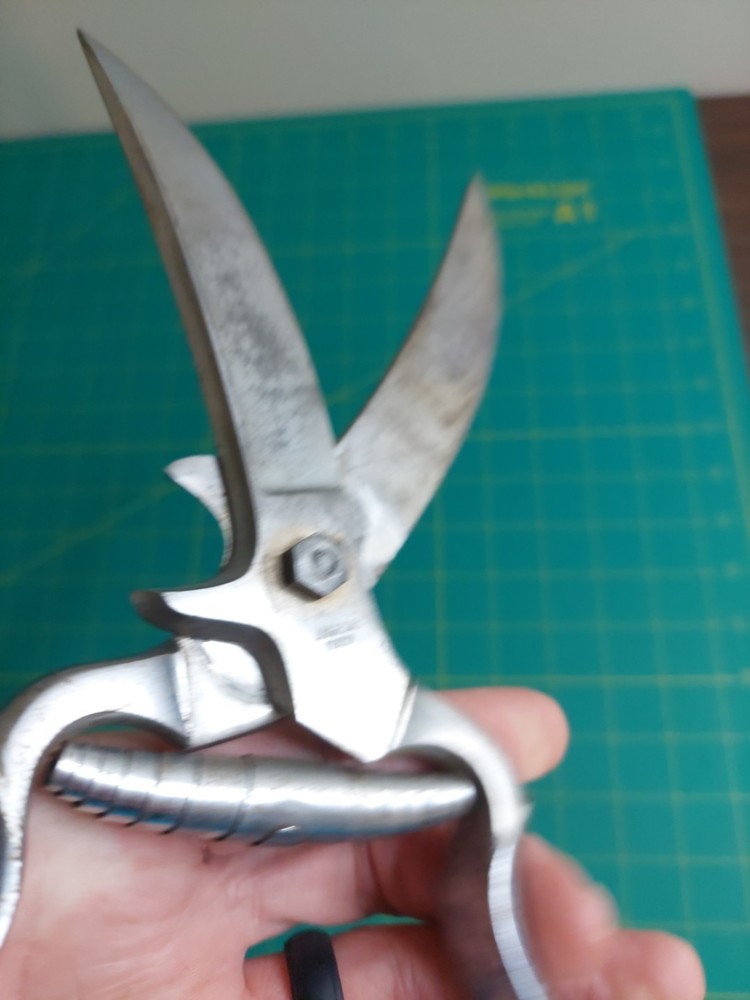 Vintage Angesa Italy 10” Vineyard Grape Poultry Pruning Shears Winery Eagle