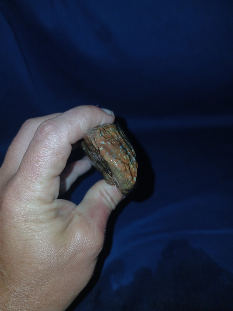 10.5 oz Texas Petrified Wood