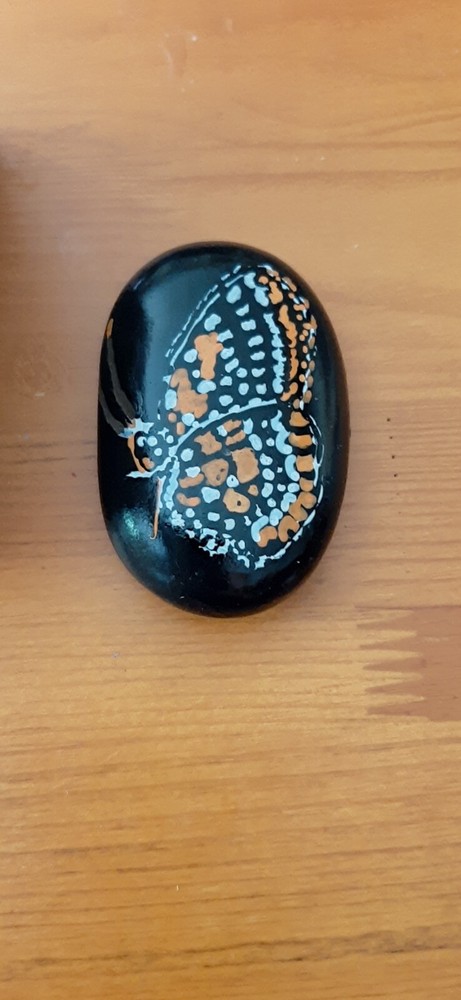 Butterfly Rock Art Hand Painted Rock Art