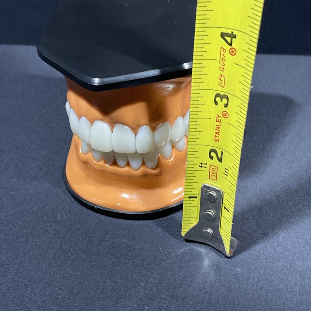 Columbia Dental Form Teeth Dentistry