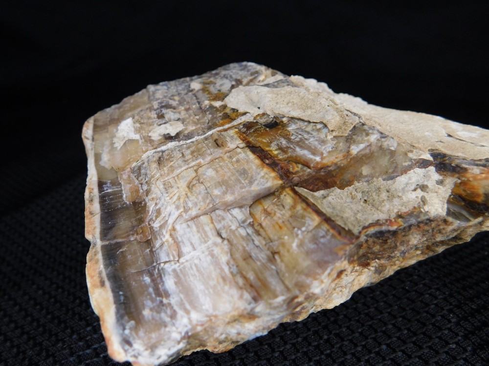Translucent Agatized and Opalized Limb Cast Central WA Vintage 2 lbs. 14oz