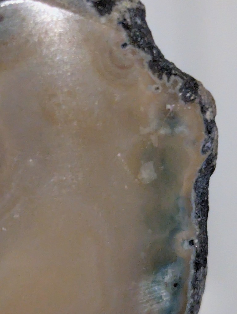 A Murky Brown Agate Slab