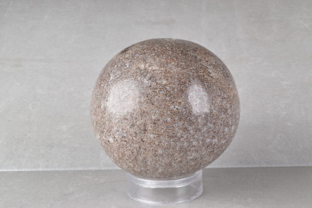 Large Dinosaur Bone Sphere from Morocco 7.7 cm # 21479