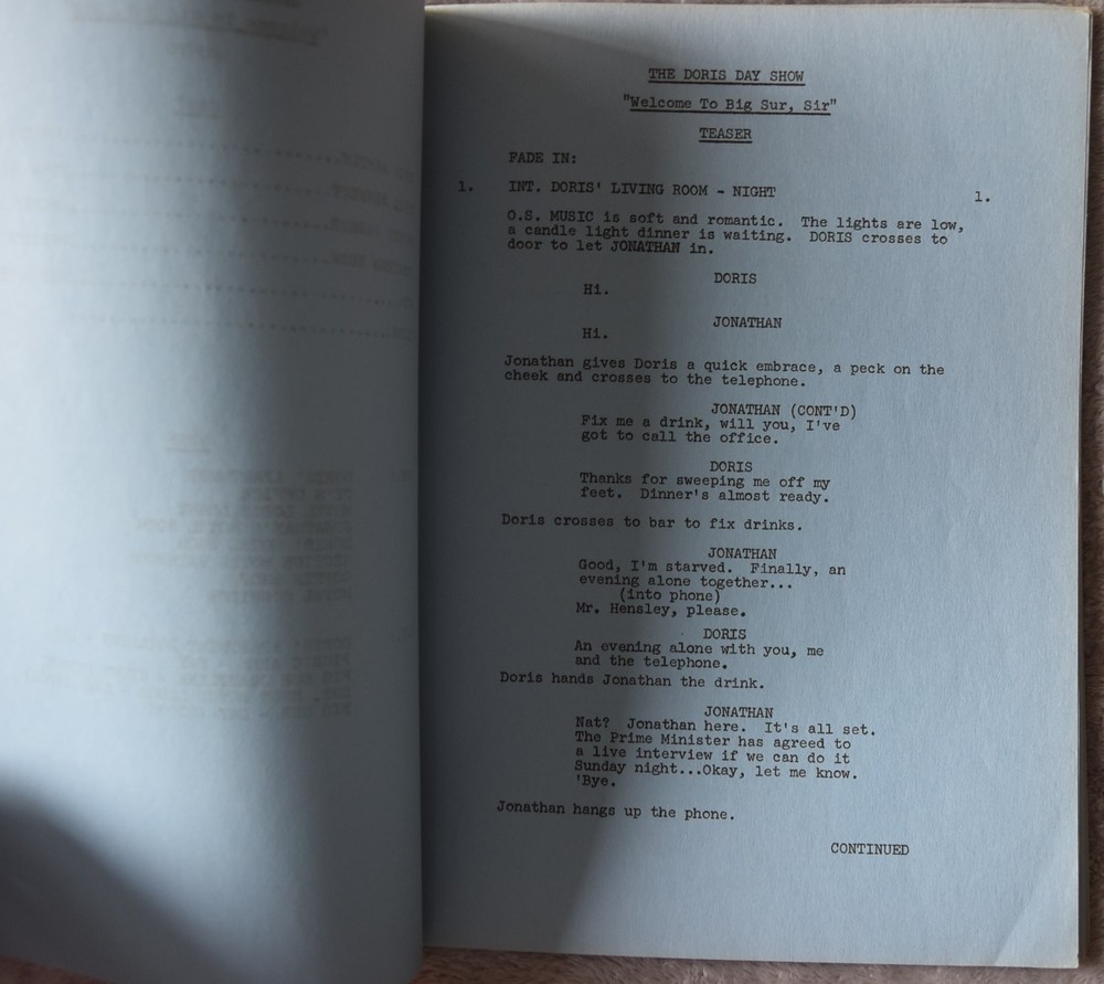 The Doris Day Show Original Screenplay Script