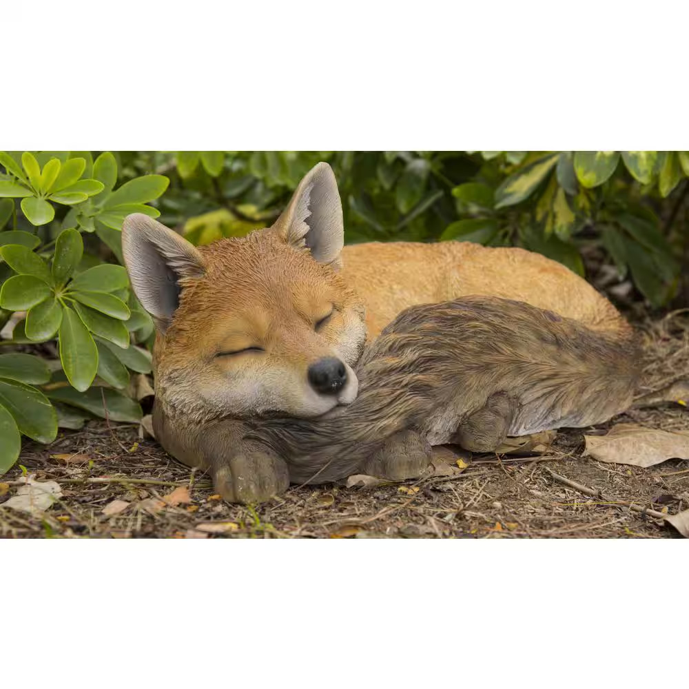 Fox Sleeping