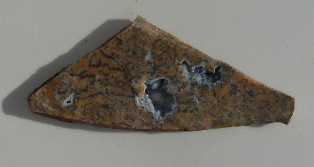 Cheetah Agate Lapidary Slab T988