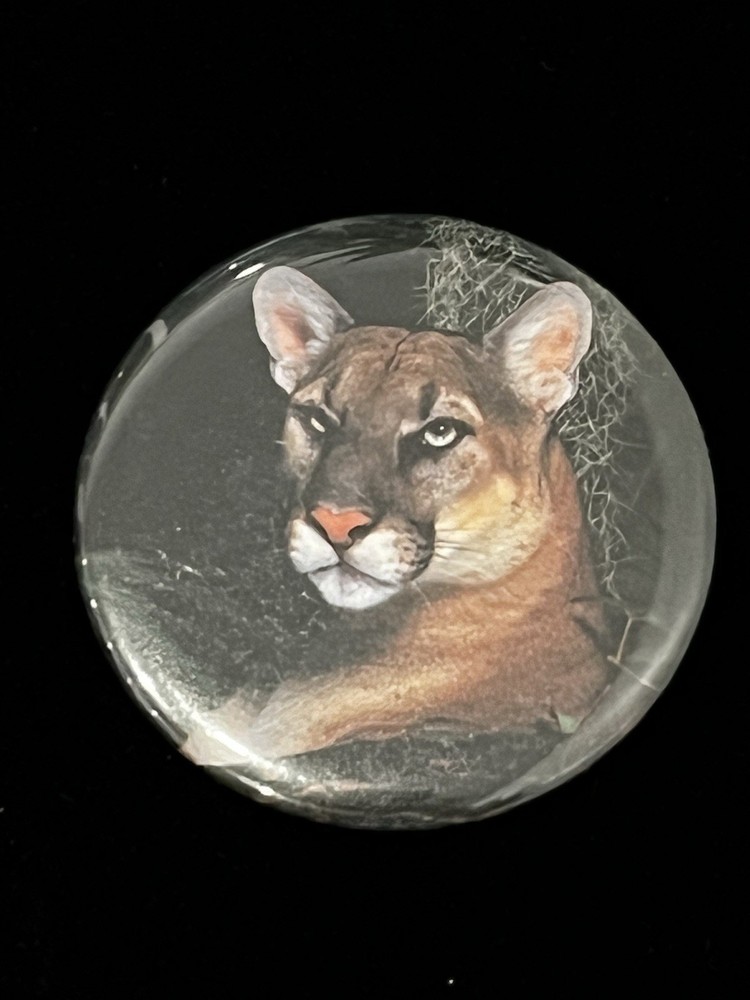 Vintage Florida Panther Button Pin