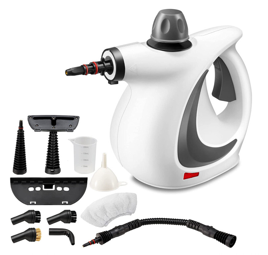 Kill Bed Bugs & Their Eggs DEAD Non Toxic Steamer Tool Kills Bugs WORKS GREAT !