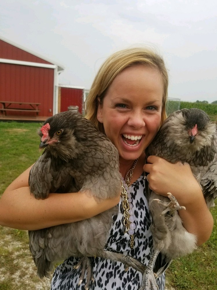 6 Fresh & Fertile Chicken Hatching Eggs - OLIVE EGGER