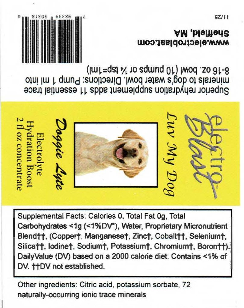 Doggie Lyte electrolyte rehydration concentrate