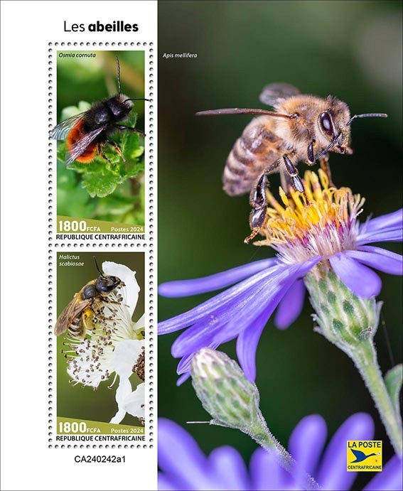 Bees