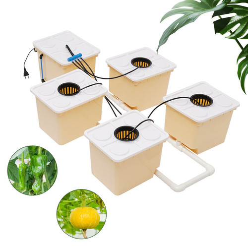 Hydroponics Deep Water Culture Hydroponic System DWC buckets Drip Growing System