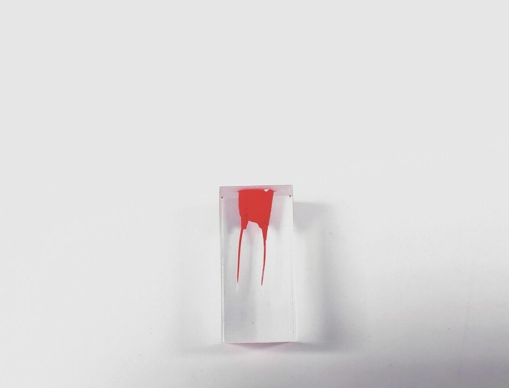 Dental Module Model Pulp Practise Root Canal Dentist Study Endo Training Tubes