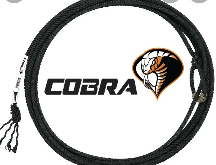 Fastback Ropes