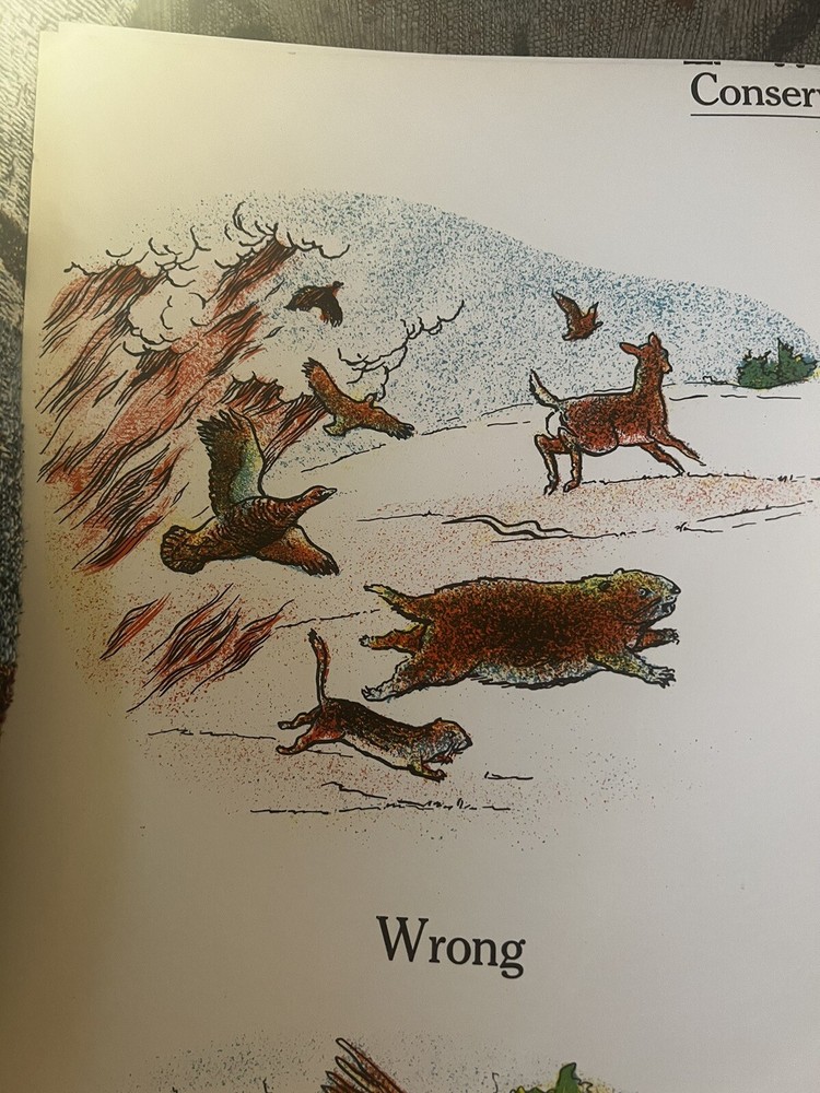 VINTAGE A.J. Nystrom Elementary science chart Conservation chart - 24” x 18.5”