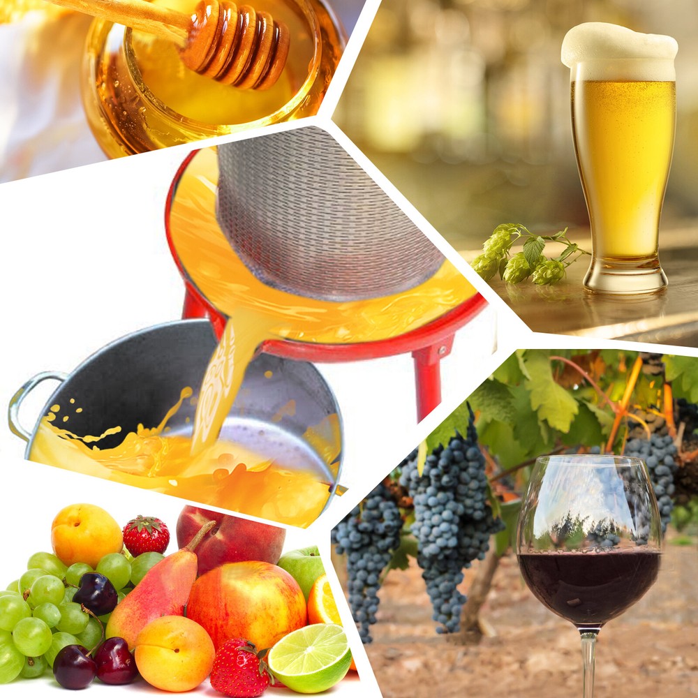 Hydraulic Fruit Wine Apple Press 10.7Gal Stainless Steel for Wine Cider Making