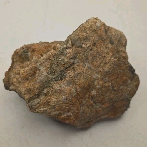 Nice Looking Rock?