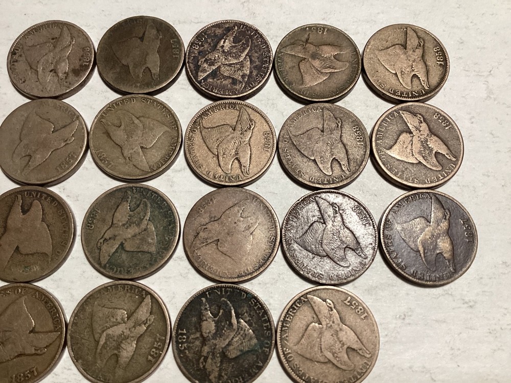 19 Flying Eagle Cents Mixed Dates -A196