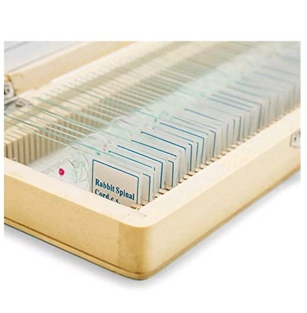 50pcs Prepared Microscope Slide Set Basic Biological Science Education 🔬