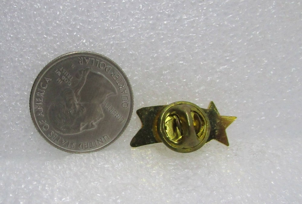 Star Quality Pin