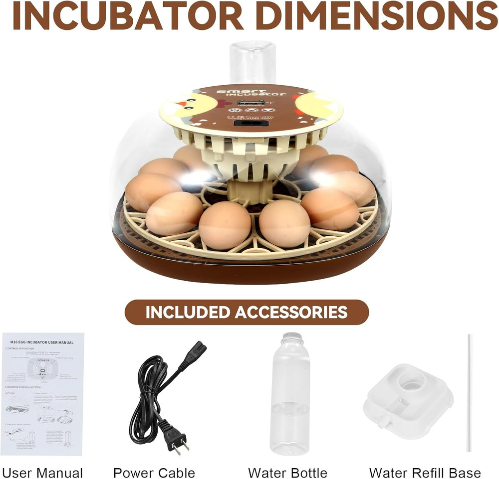 Simple 12-Egg Incubator for Beginners, Auto Egg Turn, Steady Self-Regulating Hum