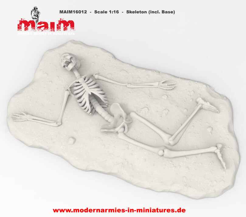 MAiM 1/16 Skeleton with Base