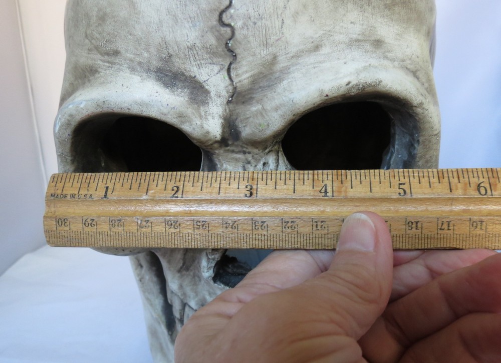 Large Heavy Cement Like Plaster Skull Skeleton Head Halloween