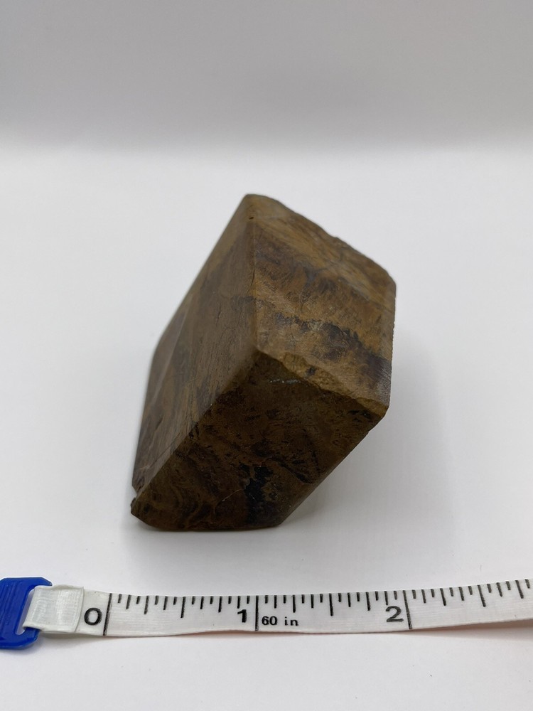 Petrified wood