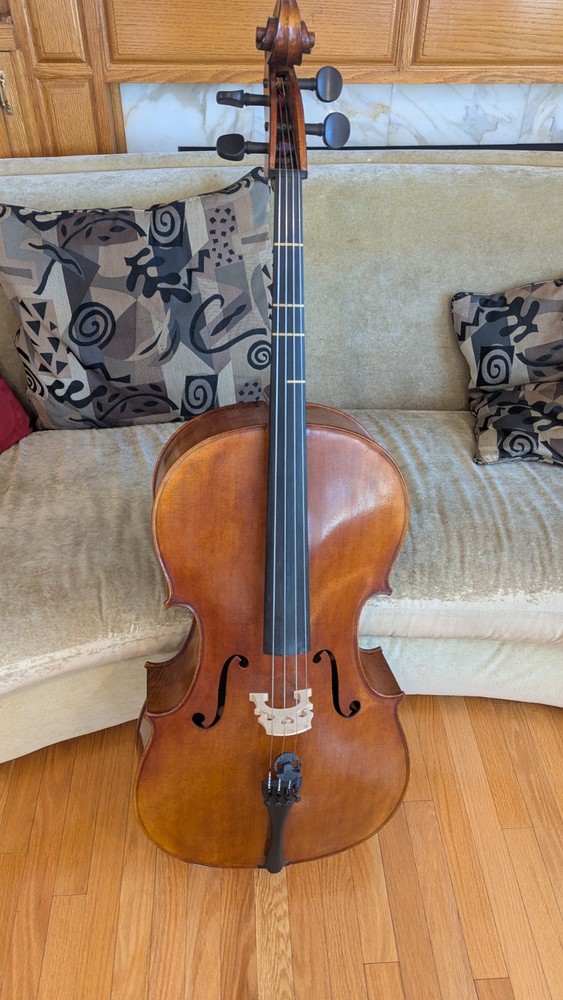 4/4 2012 Eastman Strings Cello
