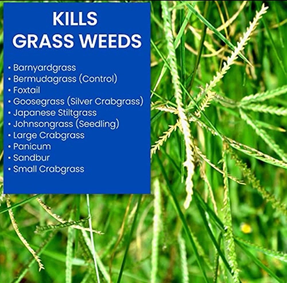 BioAdvanced 704100B Bermuda Grass Weed Killer Bermudagrass Control for Lawns, 32