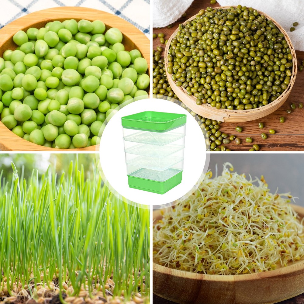 Seed Sprouter Dish Kit Stackable Seedling Starter Tray with Lid Microgreens