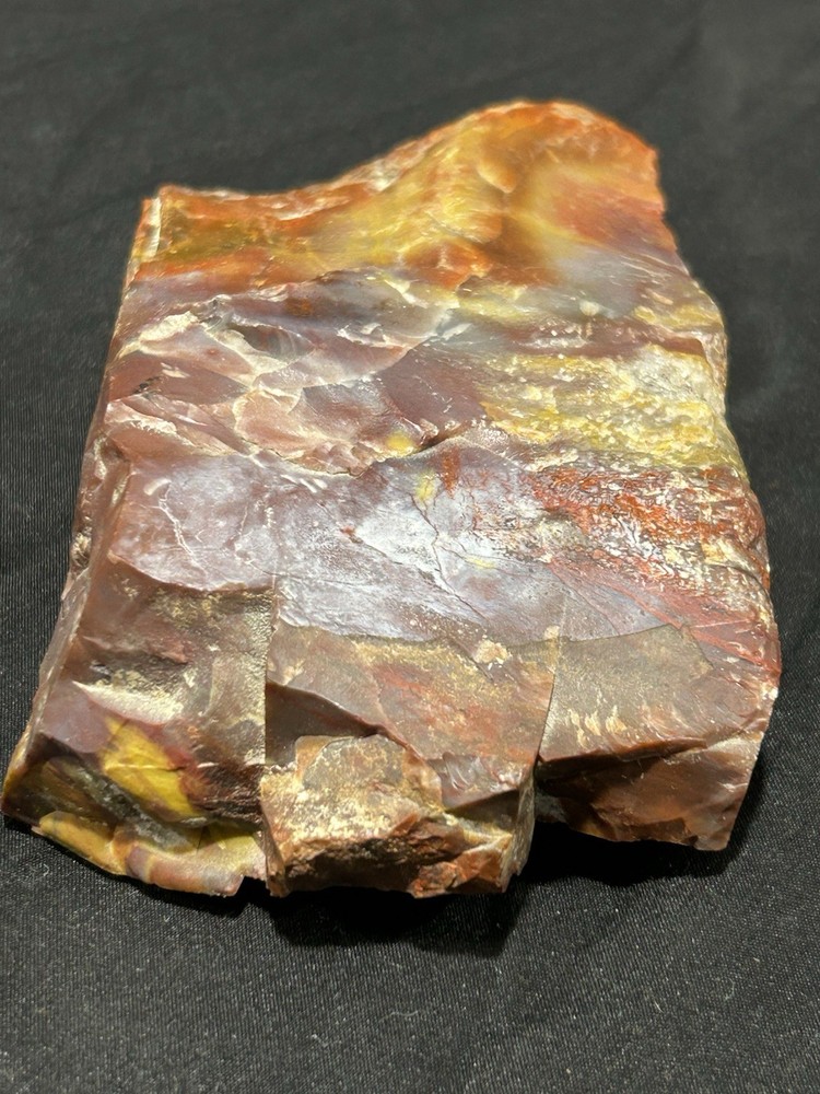Arizona Rainbow Petrified Wood