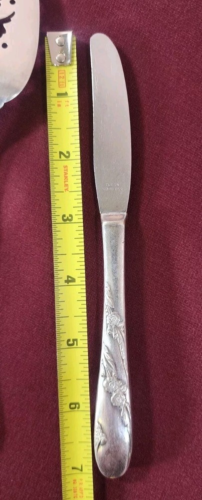 #A106) Tudor Plate Oneida Community Slotted Pie Serving Spatula + Dinner Knife