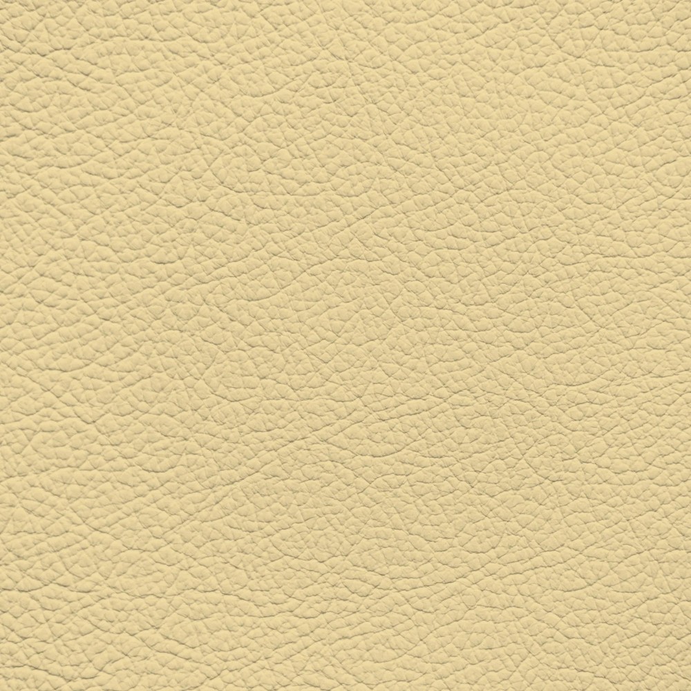 Mercedes Shell Leather Dye