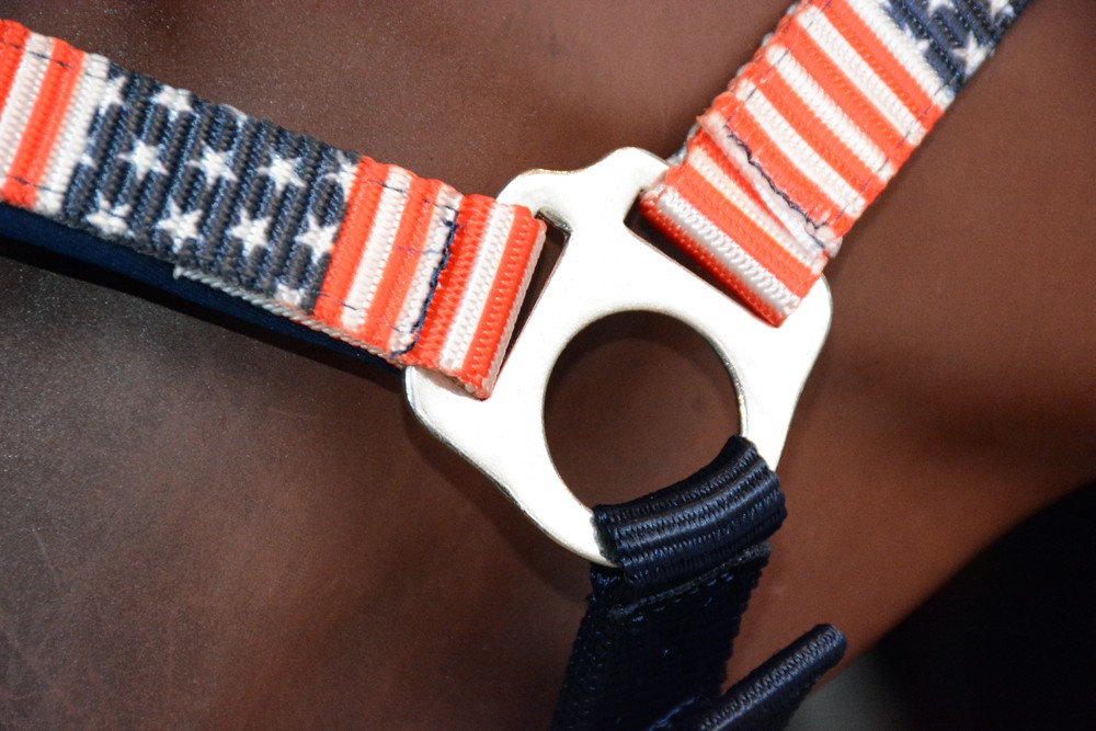 Hilason 1 Inch Iron Sheet Fitting And Fully Adjustable Halter US Flag Polyester