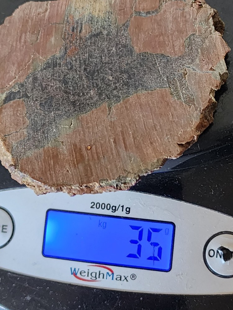 Priday plume/moss Agate slab Unpolished Oregon 35 Grams
