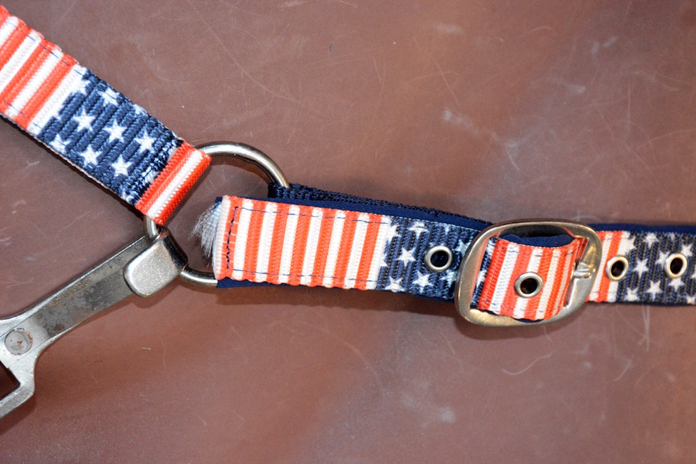 Hilason 1 Inch Iron Sheet Fitting And Fully Adjustable Halter US Flag Polyester