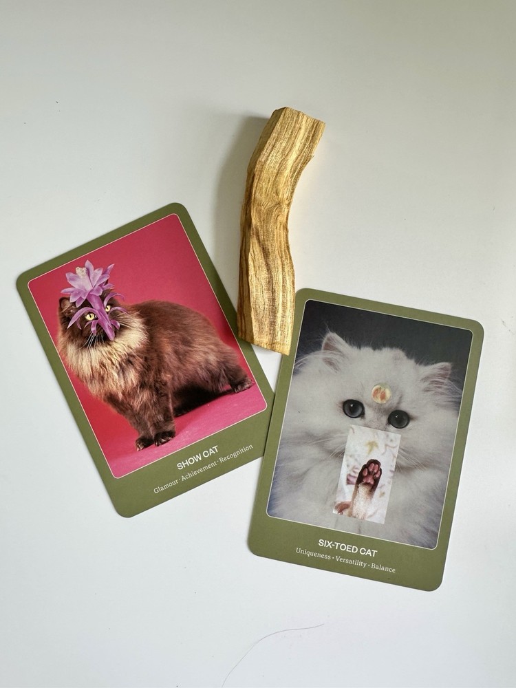 The Cat Oracle 33 Card Deck and Guidebook for Divination