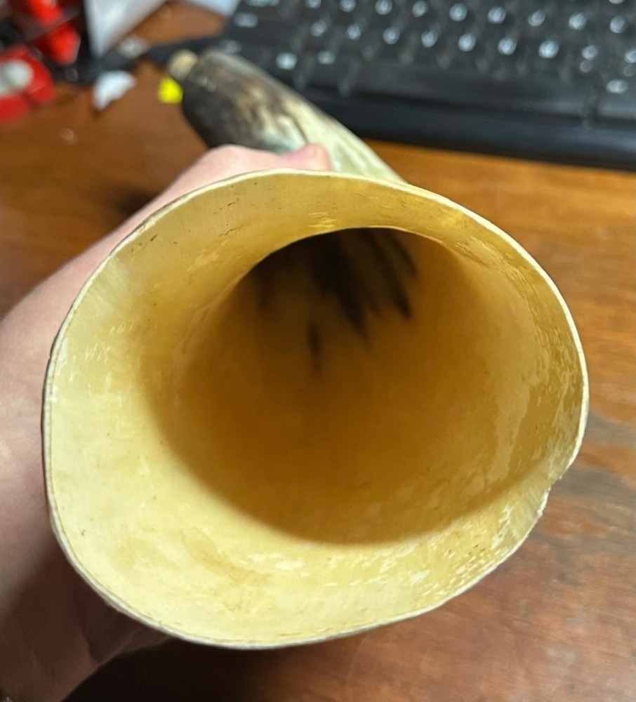 Vintage Powder Bull Horn