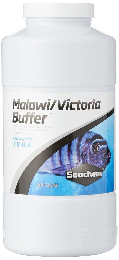 Malawi/Victoria Buffer, 1.2 kg / 2.6 lbs