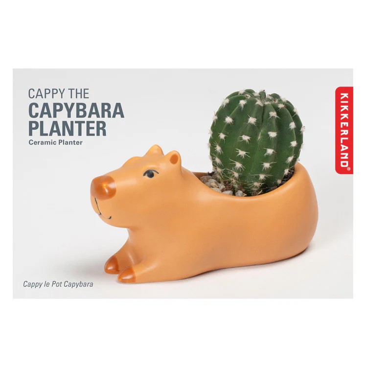 Kikkerland Small Capybara Planter