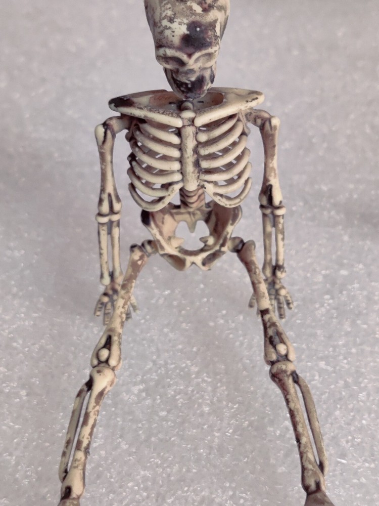 Halloween Skeleton Pair Props (Plastic)